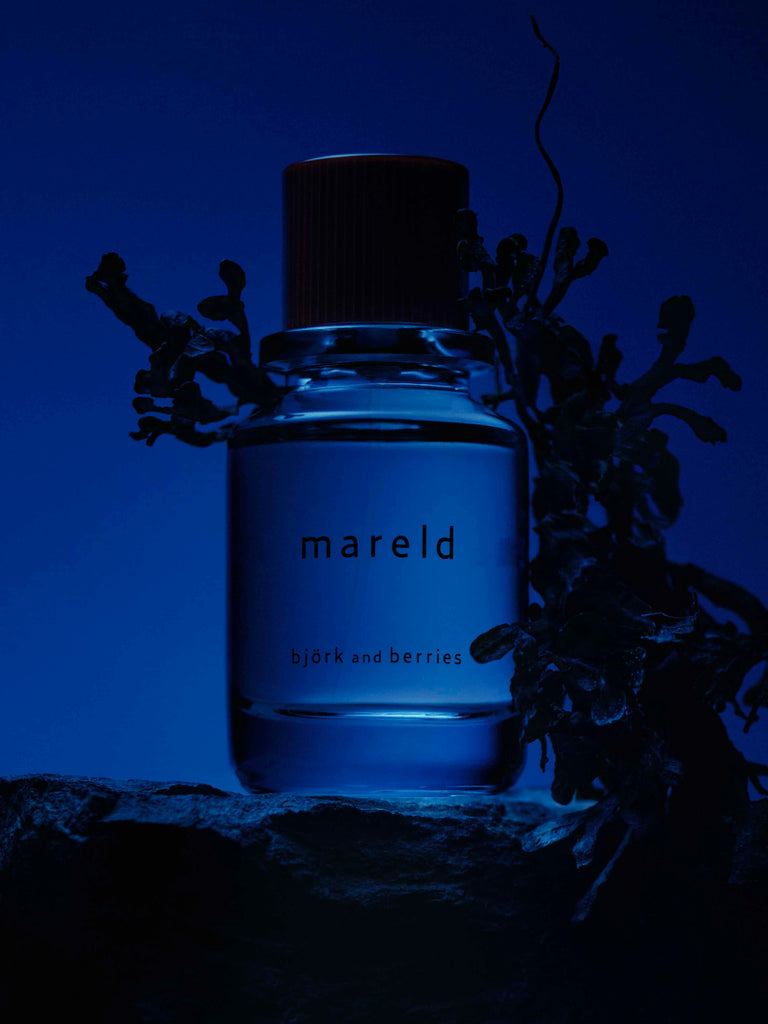 vanilla veil eau de parfum